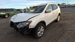 Driver Left Front Door Electric Fits 14-20 Rogue 32304566 Used. Price: $620.10.