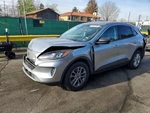 (local Pickup Only) Back Glass Privacy Tint Fits 20-25 Escape 1440095 Used. Price: $166.16.