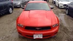 (local Pickup Only) Passenger Right Quarter Glass Coupe Fits 10-14 Mustang 45373 Used. Price: $174.90.