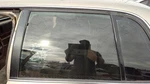 1991-1996 Buick Park Ave Driver Left Rear Side Window Door Glass Oem Back Used. Price: $127.50.
