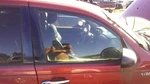 Passenger Right Front Door Glass Hatchback Fits 01-10 Pt Cruiser 32296259 Used. Price: $130.70.