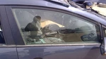 2014-2018 Kia Forte Passenger Right Front Side Window Door Glass Oem 82420A7020 Used. Price: $128.25.