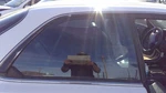 1995-1998 Acura Tl Passenger Right Rear Side Window Door Glass Oem Back Used. Price: $92.62.