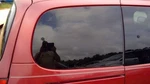 Passenger Right Quarter Glass With Privacy Tint Fits 99-02 Villager 239448 Used. Price: $185.59.