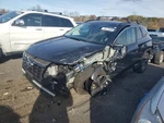 (local Pickup Only) Roof Glass With Panoramic Front Fits 22-24 Tucson Used. Price: $997.41.