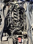 Driver Left Rear Door Glass Hatchback Fits 17-21 Civic 27008806 Used. Price: $141.77.