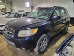 Back Glass Fits 07-12 Santa Fe 2064512 Used. Price: $118.75.