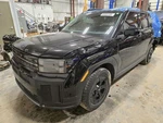 Passenger Right Rear Door Glass Built Fits 24-25 Santa Fe 1545968 Used. Price: $206.75.