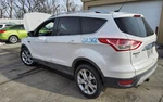 Driver Quarter Glass Privacy Tint Chrome Belt Moulding Fits 13-17 Escape 1750765 Used. Price: $313.05.