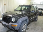 (local Pickup Only) Back Glass Light Tint Fits 02-07 Liberty 1904116 Used. Price: $99.90.