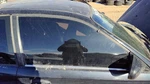 1996-2000 Honda Civic Passenger Right Front Side Window Door Glass Coupe Oem Used. Price: $142.43.