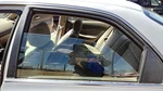 1994-1997 Honda Accord Driver Left Rear Side Window Door Glass Oem Back 4289476 Used. Price: $123.75.