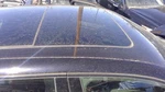 Roof Glass Dual Panel Panoramic Front Fits 11-18 Porsche Cayenne 672475 Used. Price: $499.99.