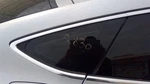 Passenger Quarter Glass With Laminated Opt 4KV Fits 12-18 Audi A7 645144 Used. Price: $69.99.