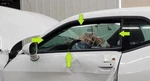 2008-2022 Dodge Challenger Left Driver Front Door Glass Window Used. Price: $100.00.