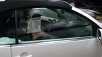 Passenger Right Front Door Glass Convertible Fits 04-10 Beetle 92515 Used. Price: $189.00.