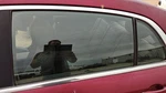 2008-2012 Chevy Malibu Driver Left Rear Side Window Door Glass Oem Back 15825441 Used. Price: $114.00.