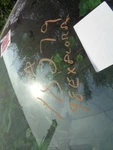 Passenger Rear Door Vent Glass Privacy Tint Fits 97-98 Expedition 282882 Used. Price: $75.00.