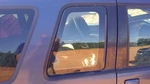 Passenger Quarter Glass Door Sport Package Front Fits 98-02 Explorer 253949 Used. Price: $177.58.