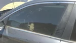 Driver Left Front Door Glass Sedan Built Fits 13-17 Accord 32553773 Used. Price: $136.85.