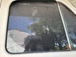 Chevy Rv Van 30 Passenger Crank Window Right Oem Used. Price: $75.00.