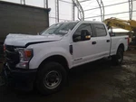 (local Pickup Only) Back Glass Fixed Green Tint Fits 17-24 Ford F250SD 69 Used. Price: $224.99.