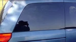 Passenger Quarter Glass Privacy Tint Manual Flip Out Fits 04-09 Quest 228686 Used. Price: $165.59.