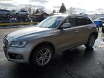 Roof Glass Vin Fp 7TH And 8TH Digit Privacy Tint Fits 13-17 Audi Q5 630750 Used. Price: $349.99.