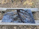 Honda Odyssey 99-04 Rear Right Passenger Side Door Window Glass 73300-S0X-308 Used. Price: $44.99.