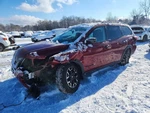 (local Pickup Only) Roof Glass Front Moveable Fits 13-20 Pathfinder 2122588 Used. Price: $249.90.
