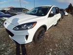 Driver Left Front Door Glass Fits 20-25 Escape 12652330 Used. Price: $137.02.