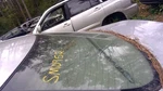 Back Glass Fits 04-06 Lexus ES330 26756 Used. Price: $73.83.