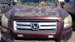 Trunk/hatch/tailgate Lx Privacy Tint Glass Fits 06-08 Pilot 1180147 Used. Price: $499.90.