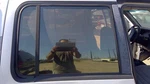 1991-1997 Ford Explorer Passenger Right Rear Side Window Door Glass Oem Back Used. Price: $96.19.