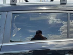 2010-2016 Kia Sportage Driver Left Rear Side Window Door Glass Oem Back Used. Price: $135.00.