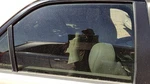 2003-2007 Cadillac Cts Passenger Right Rear Side Window Door Glass Oem Back Used. Price: $100.58.