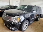 Passenger Rear Door Glass With Privacy Tint Fits 07-14 Escalade 1838673 Used. Price: $80.99.