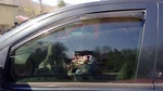 08 - 15 Nissan Titan Armada Front Door Glass Lh Driver Side Oem 80301ZQ00A Used. Price: $113.99.