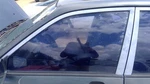 1989-1993 Mitsubishi Galant VR-4 Driver Left Front Side Window Door Glass Oem Used. Price: $152.29.