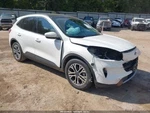 (local Pickup Only) Roof Glass Rear Stationary Fits 20-24 Escape 1918033 Used. Price: $237.41.