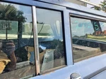 Rear Left Vent Glass Oem 1963 1983 Jeep Wagoneer Used. Price: $25.59.