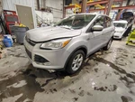 Passenger Right Rear Door Glass Privacy Tint Fits 13-19 Escape 1481785 Used. Price: $159.50.