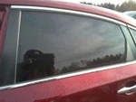 Driver Left Rear Door Glass Sedan Fits 18 Altima 31472563 Used. Price: $110.70.