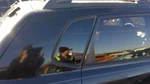 Passenger Right Quarter Glass With Privacy Tint Fits 05-09 Tucson 226063 Used. Price: $144.79.