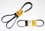A/c +alternator Drive Belt Kit For Bmw 1996-98 318IS Z3 1.9L /1996-99 318TI New. Price: $48.40.