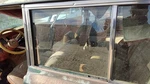 1984-1991 Jeep Grand Wagoneer Driver Left Rear Side Window Door Glass Oem Back Used. Price: $180.41.