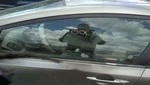 Driver Left Front Door Glass Sedan Si Fits 06-11 Civic 29687137 Used. Price: $110.70.
