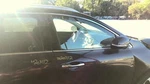 (local Pickup Only) Passenger Front Door Glass With Acoustic Fits 16-20 So Used. Price: $139.90.