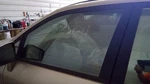 Driver Left Front Door Glass Thru 6/00 Fits 99-00 Lexus RX300 1846476 Used. Price: $48.00.