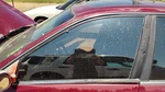 1994-1997 Honda Accord Driver Left Front Side Window Door Glass Oem 4289450 Used. Price: $124.69.